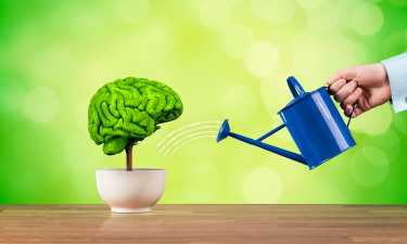 Essere bilingui