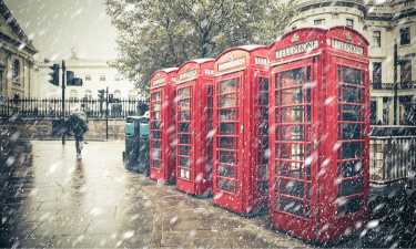 It’s raining cats and dogs