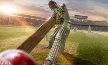 Cricket